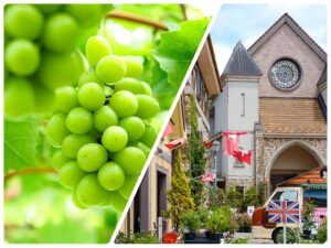 シャインマスカット狩り＆ハイジの村