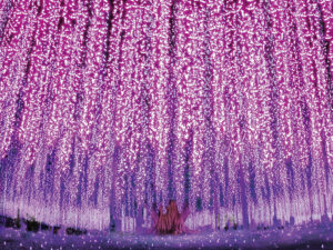 あしかがフラワーパーク イルミネーション