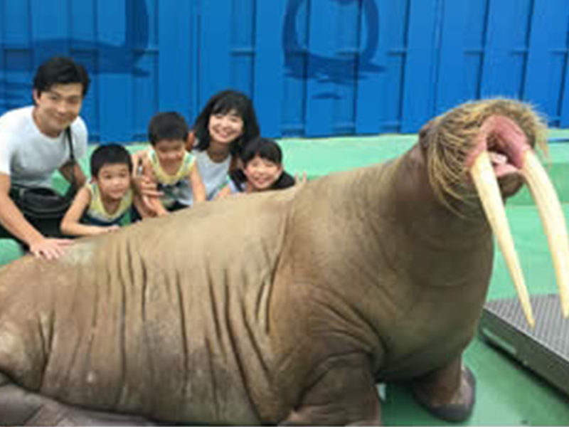 伊勢シーパラダイス　伊勢神宮　関西発