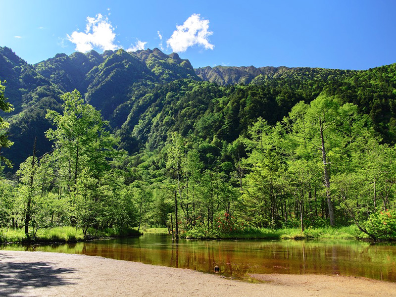 上高地　田代湿原