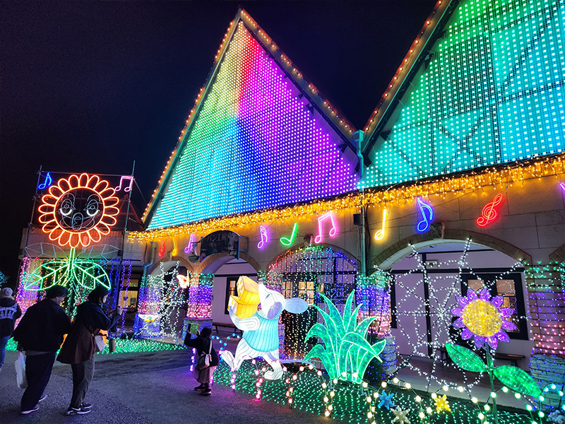 東京ドイツ村　イルミネーション