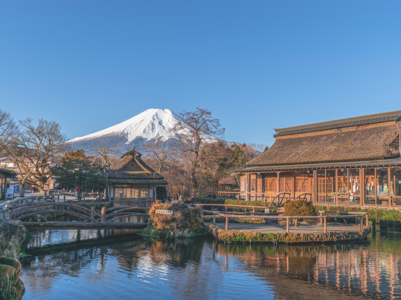 忍野八海