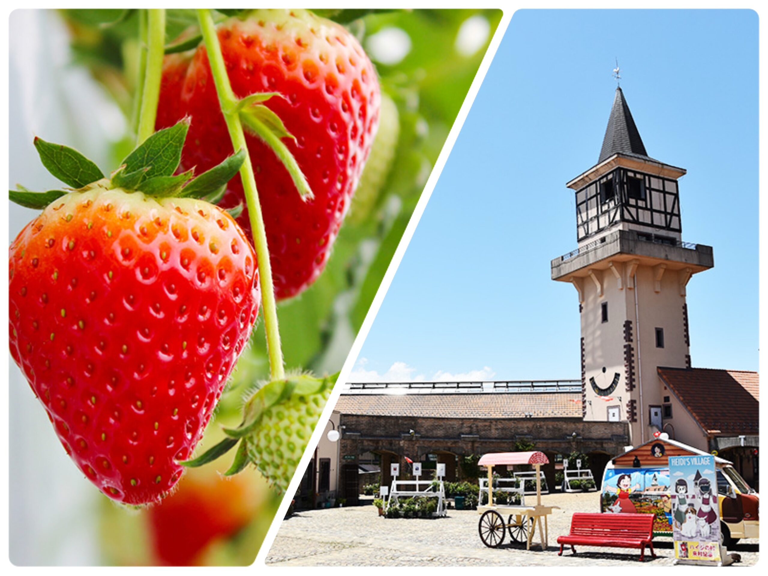 いちご狩り＆ハイジの村