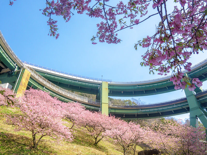 河津七滝ループ橋