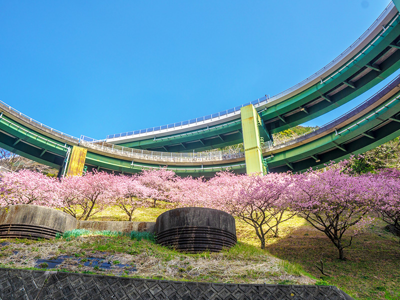 河津七滝ループ橋