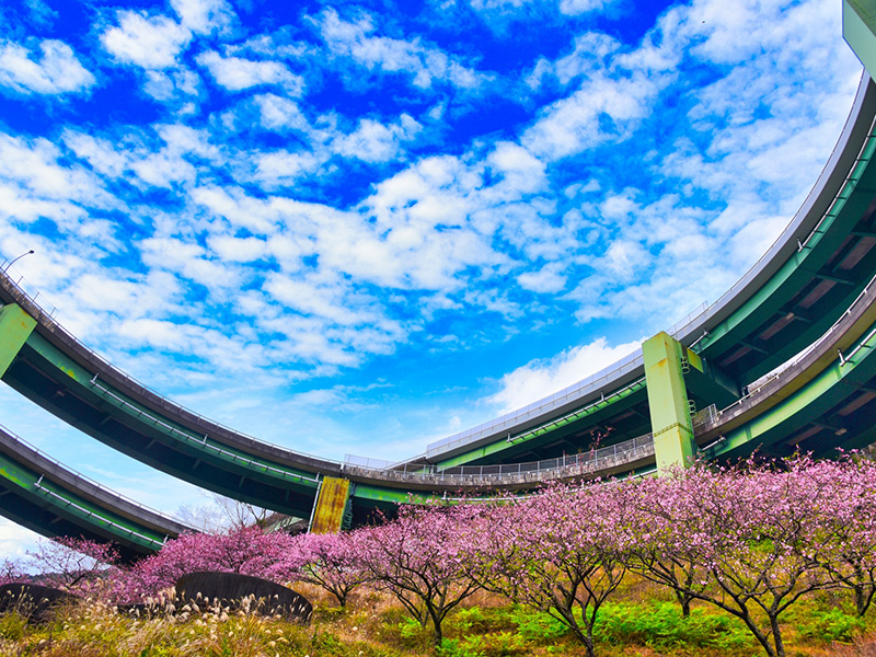 河津七滝ループ橋