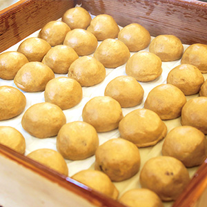 伊香保温泉