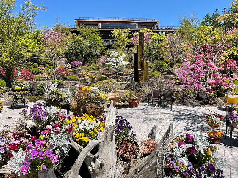 ハーブ庭園 旅日記 富士河口湖庭園