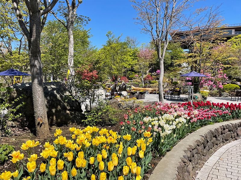 ハーブ庭園 旅日記 富士河口湖庭園