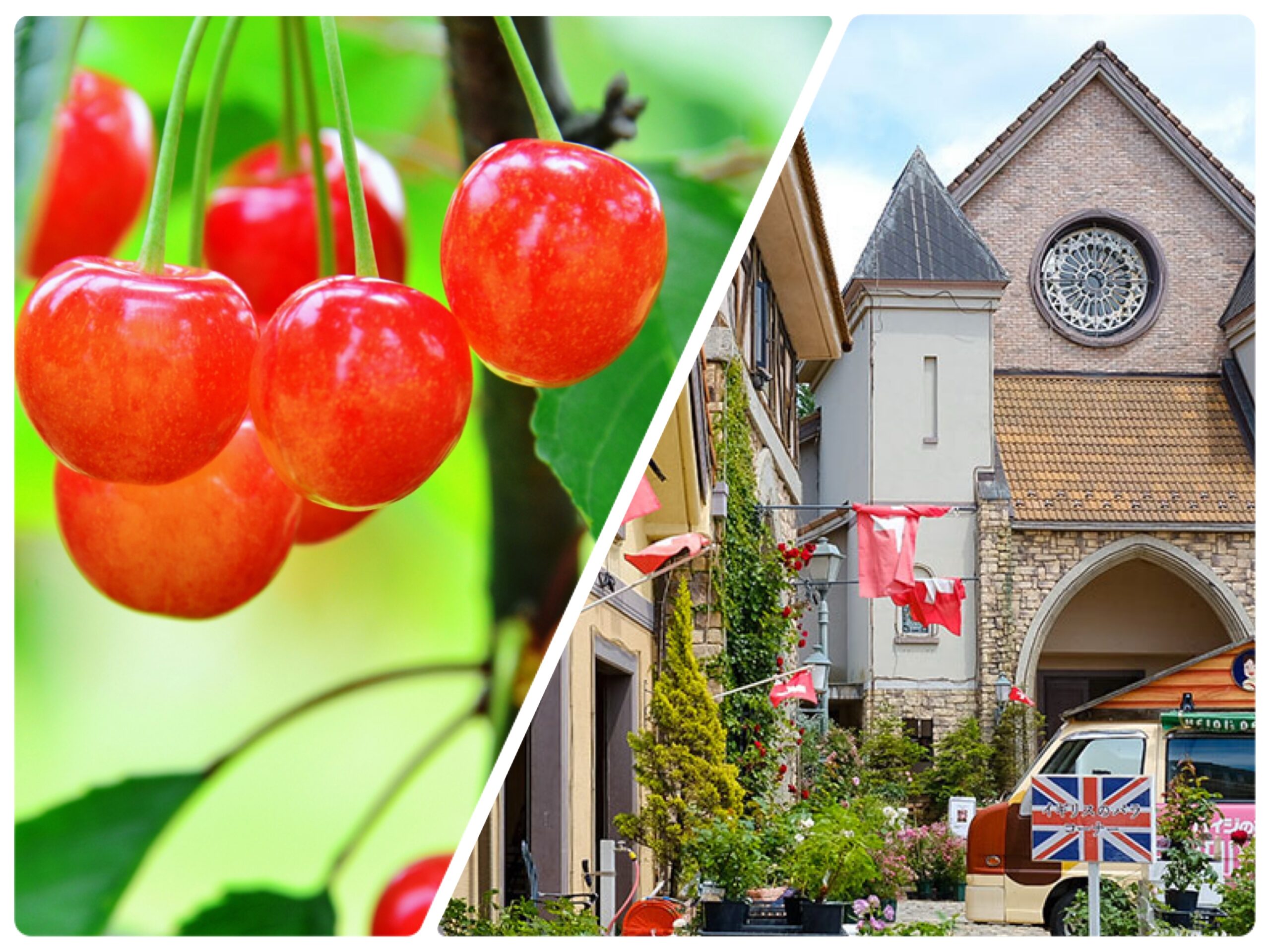 さくらんぼとハイジの村