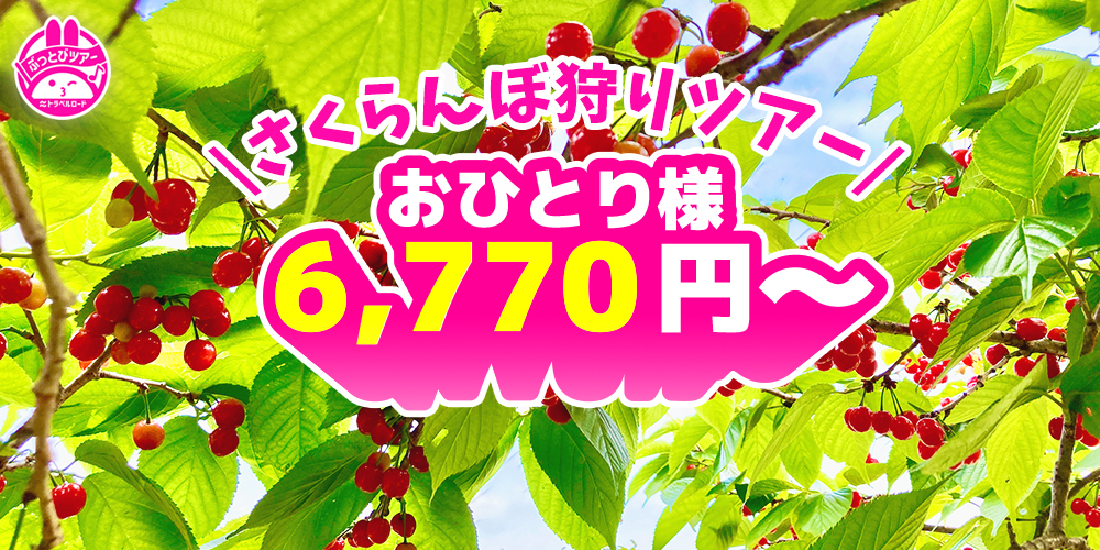 さくらんぼ狩りの最安値6,770円のスライダー画像