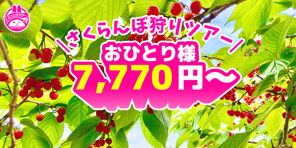 さくらんぼ狩りの最安値7,770円のスライダー画像
