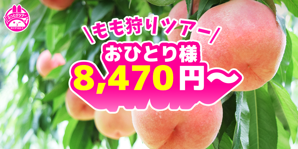 もも狩りの最安値8,780円のスライダー画像