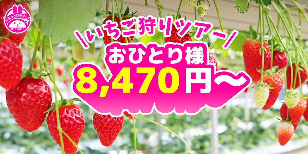 いちご狩りの最安値8,470円のスライダー画像
