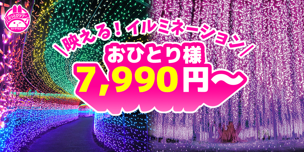 イルミネーションツアーの最安値7,990円のスライダー画像