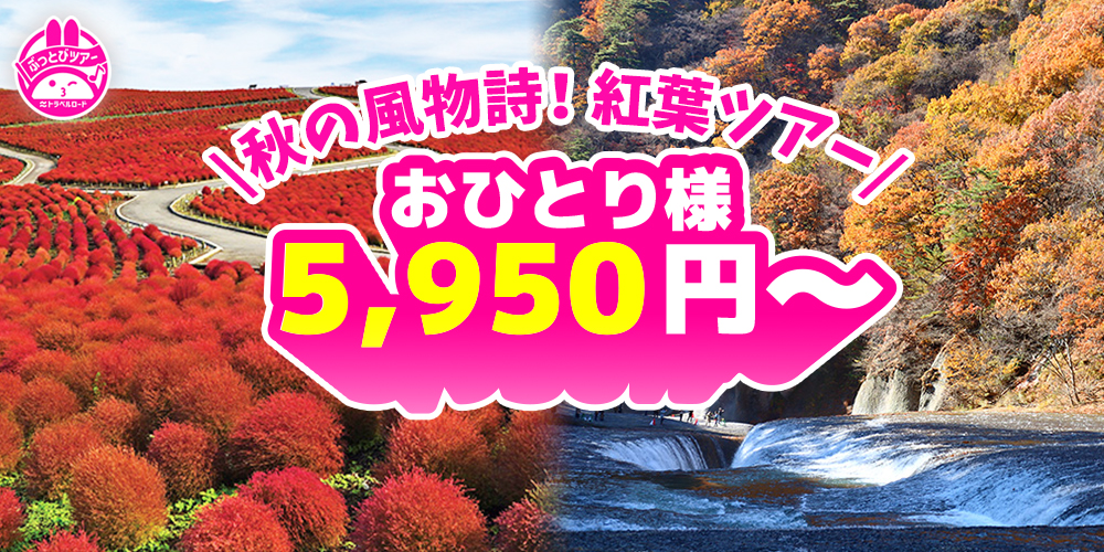紅葉ツアーの最安値5,950円のスライダー画像