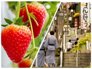 いちご狩り＆伊香保温泉石段街