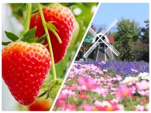 いちご狩り＆ハーブ庭園