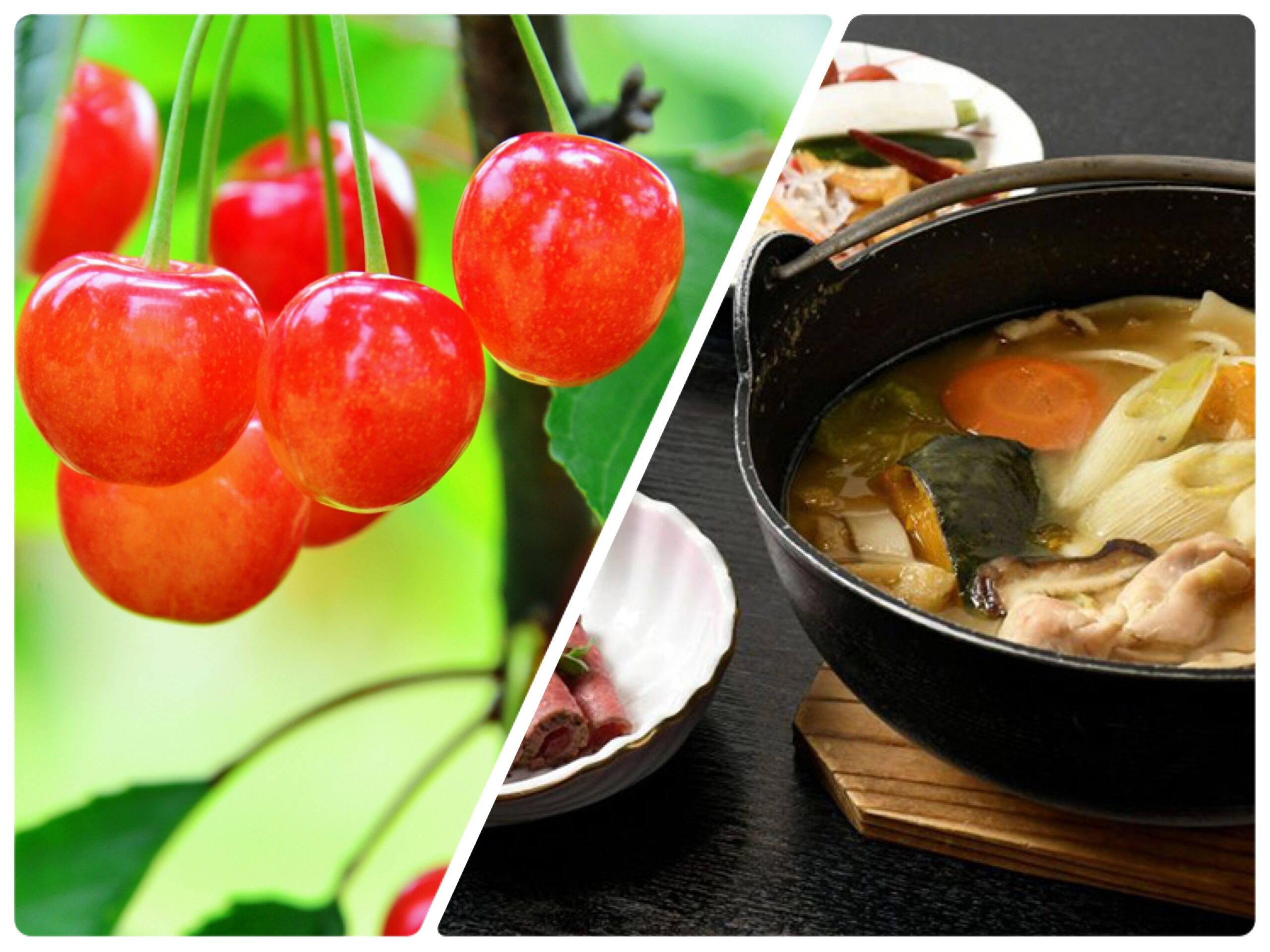 さくらんぼ狩り