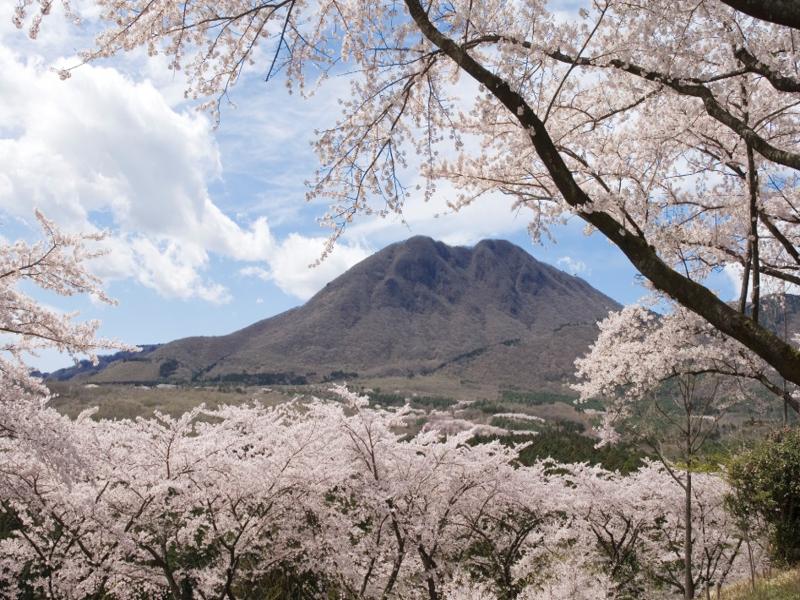伊香保グリーン牧場