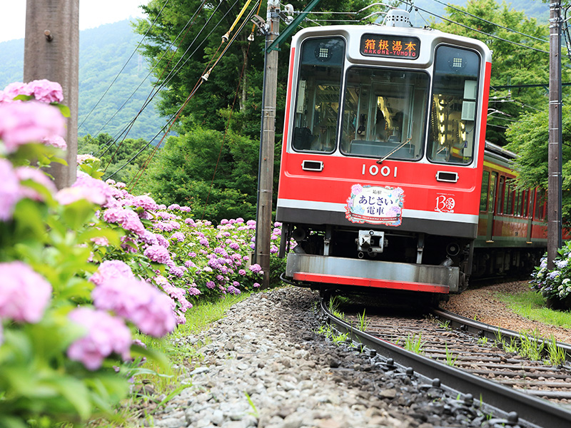 あじさい列車
