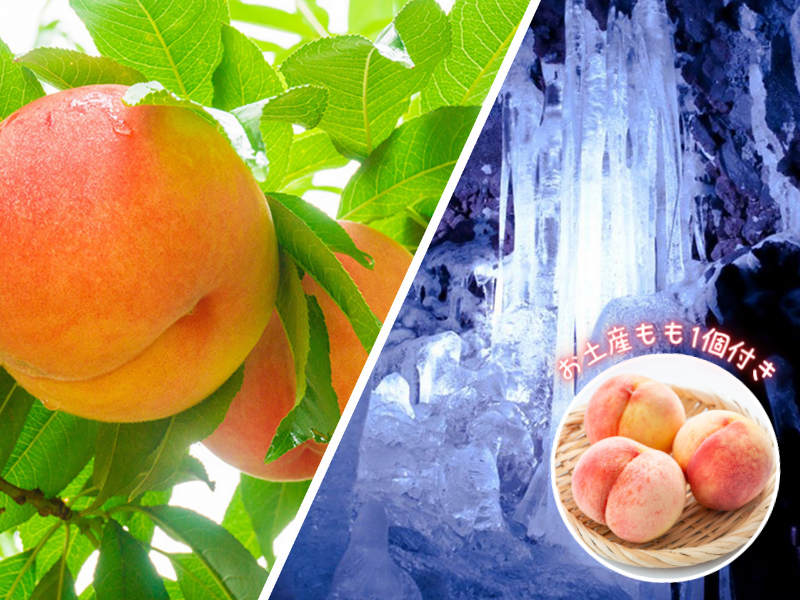 もも狩りと鳴沢氷穴