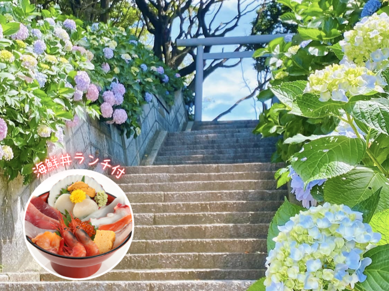 酒列磯前神社のあじさいと海鮮丼ランチ