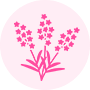 スケジュール