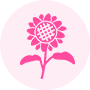 スケジュール