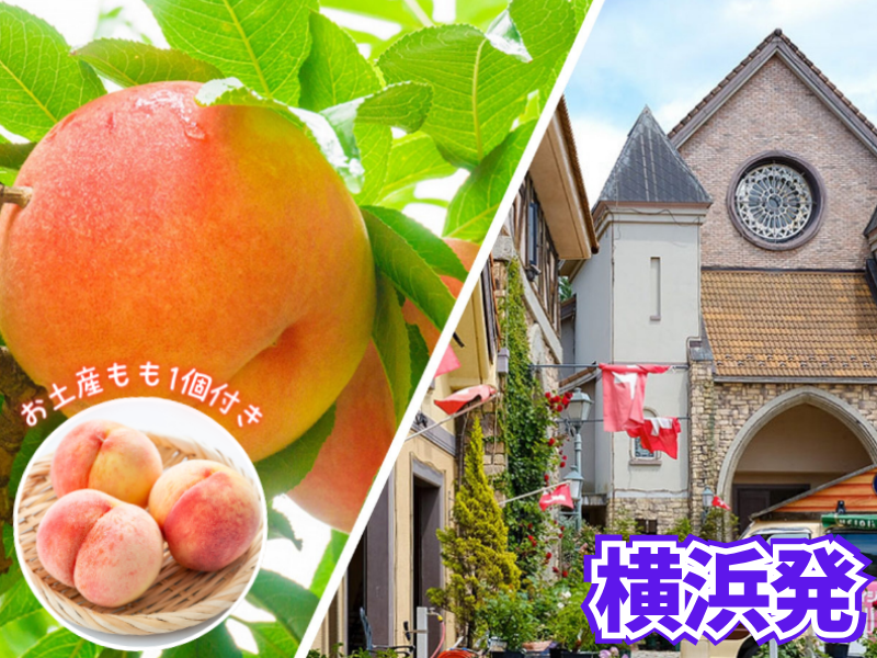 横浜発！もも食べ放題とハイジの村