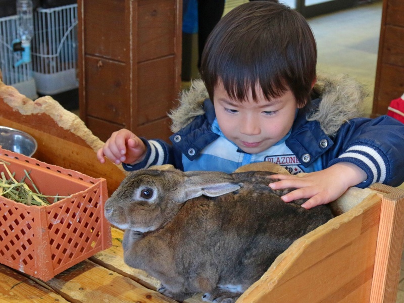 マザー牧場