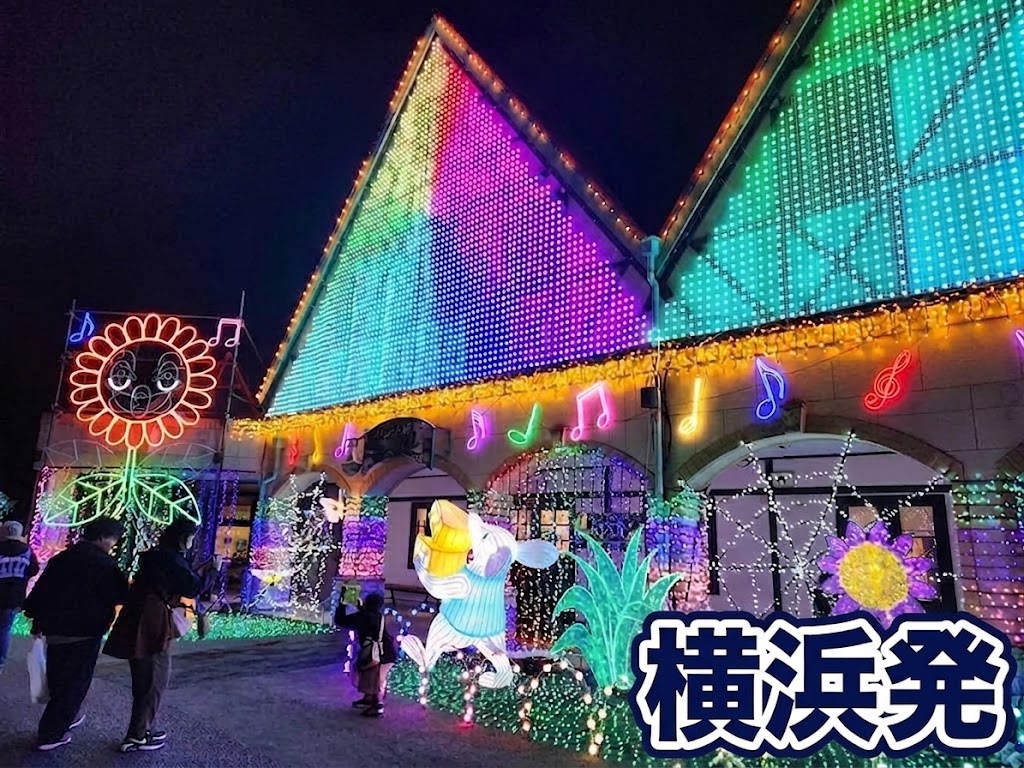 東京ドイツ村　イルミネーション