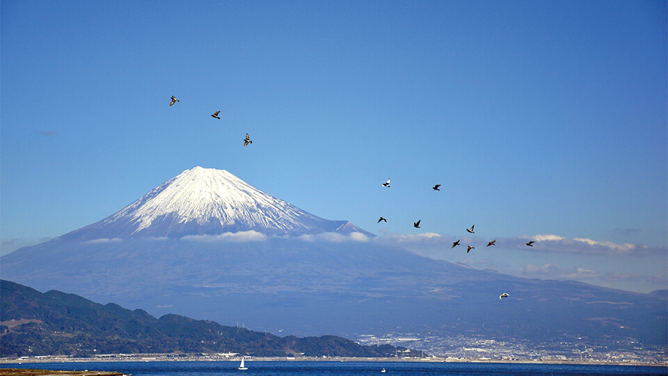 青空の下に広がる富士山の景観