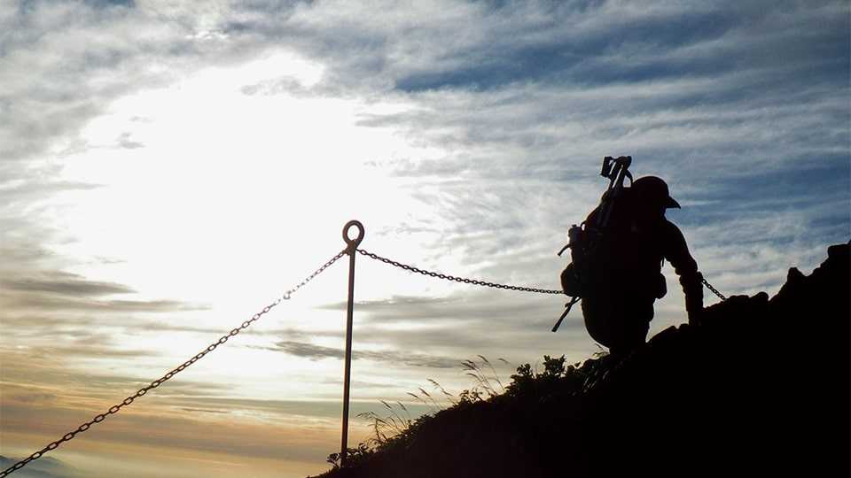 見頃について