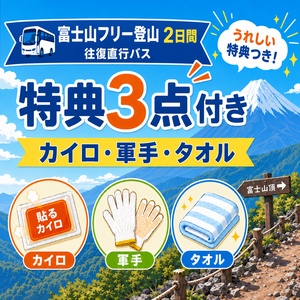 特典（カイロ・軍手・タオル）付