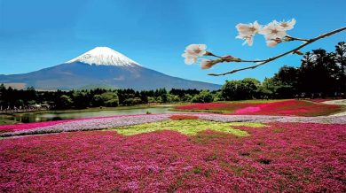 富士山 ツアー 富士登山 ツアー