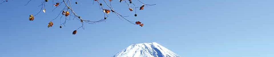 富士山 ツアー 富士登山 ツアー
