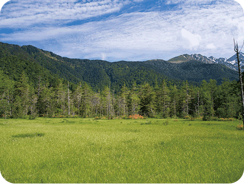 田代湿原