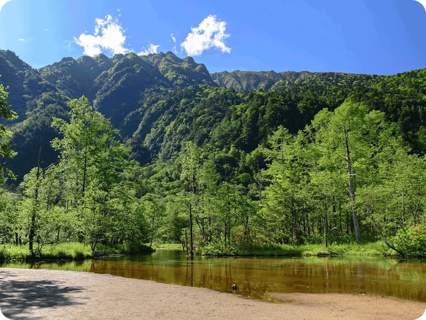 田代湿原