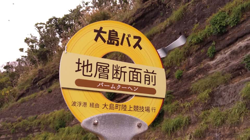 伊豆大島にある地層断面前バス停の標識