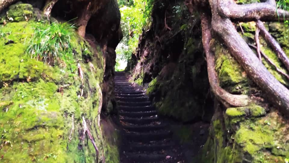 伊豆大島の泉津の切り通し