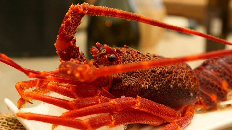 伊豆大島のグルメ伊勢海老