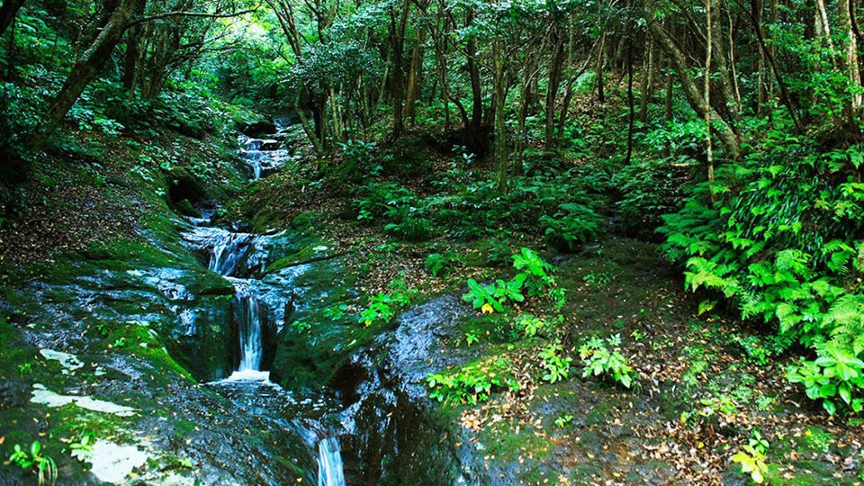 八丈島のポットホール