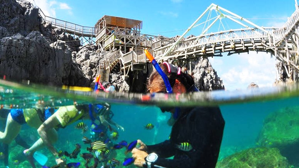 神津島の赤崎遊歩道でのシュノーケリング
