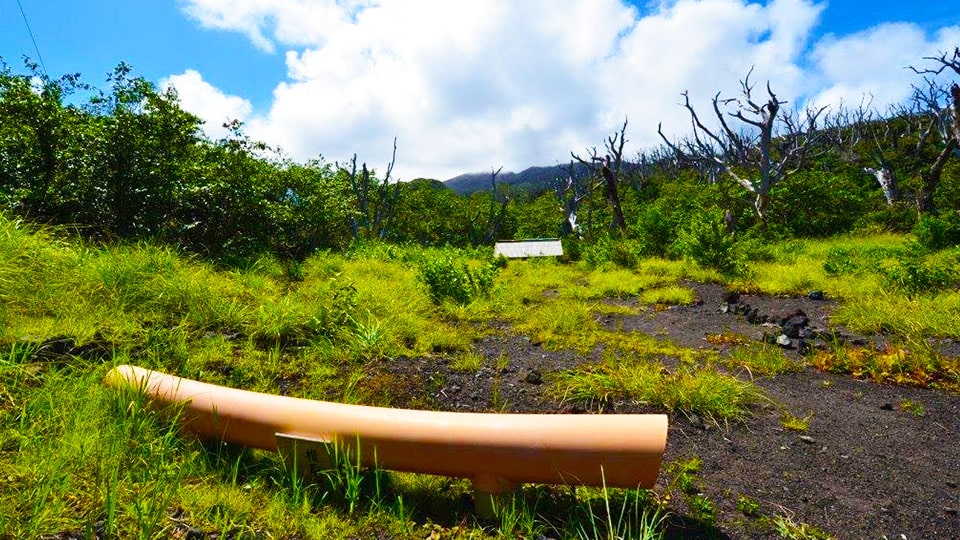 三宅島の椎取神社
