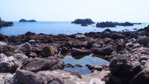 式根島の足付温泉の風景