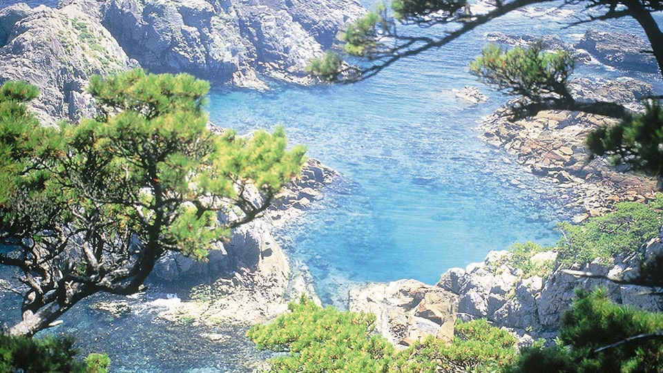 式根島の海岸線