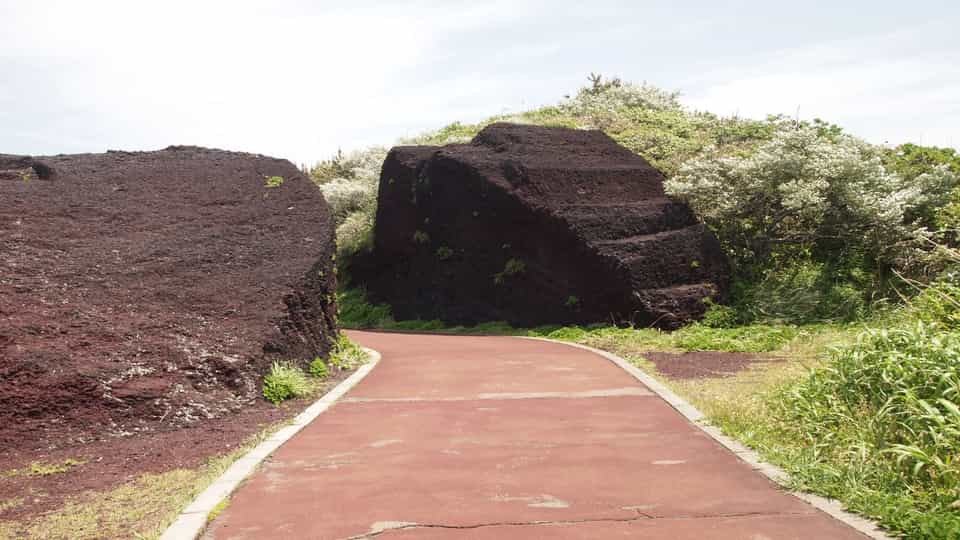 伊豆大島の赤禿