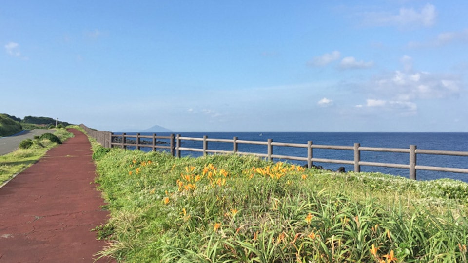 伊豆大島のサンセットパームラインコース
