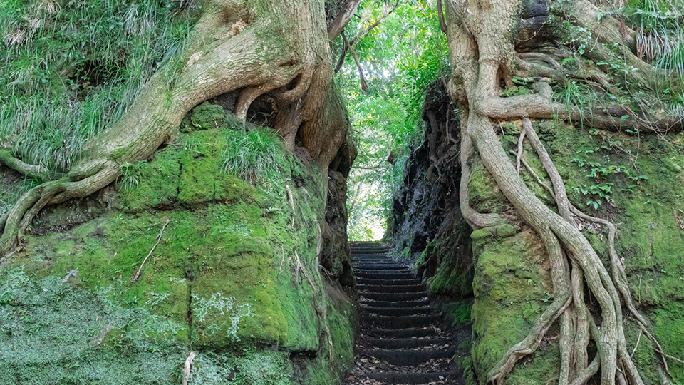 伊豆大島の泉津の切り通し